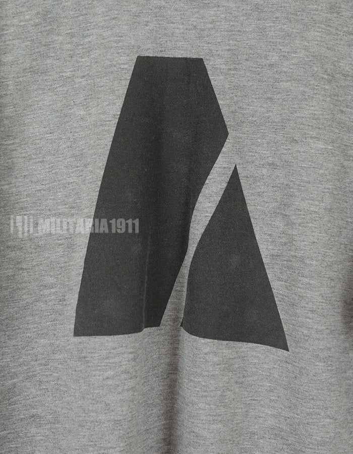 米軍サープラス　US ARMY トレーニングTシャツ　サイズL　A