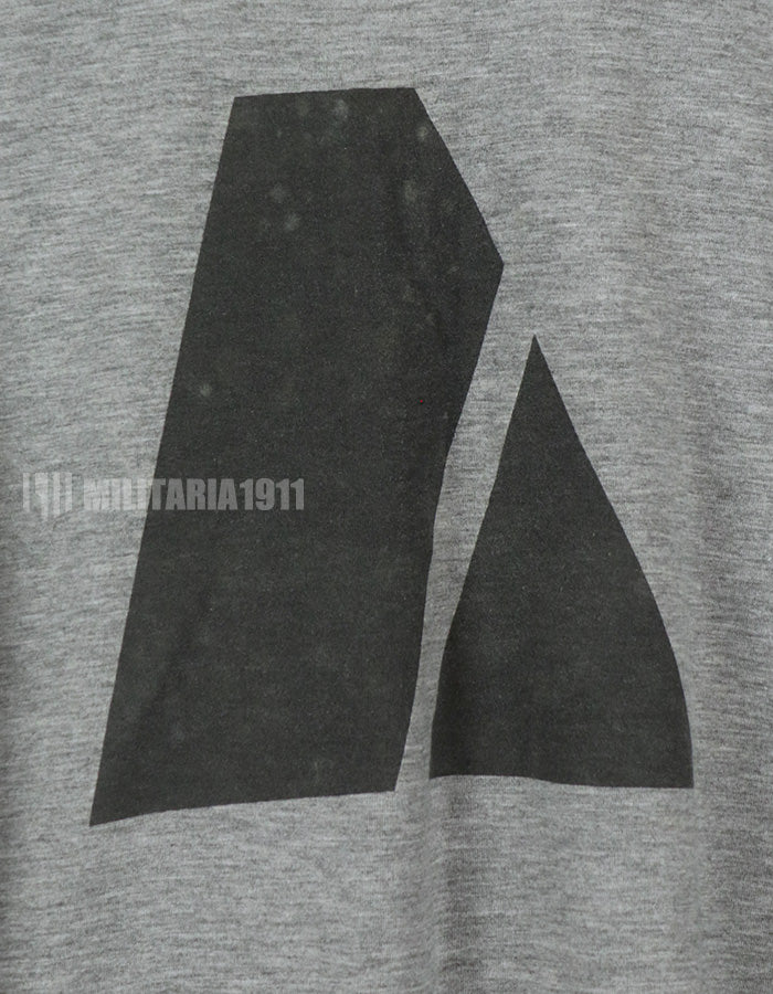 米軍サープラス　US ARMY トレーニングTシャツ　サイズL　B